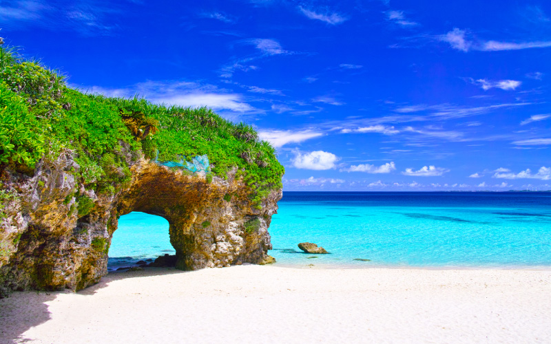 【世界遺産西表島】【3月〜6月開催】天然のイルミネーション！期間限定ヤエヤマヒメボタル観賞ツアー（No.15）